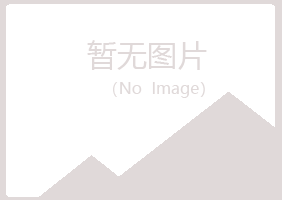 安阳白山会计有限公司